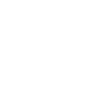 logo footer borns